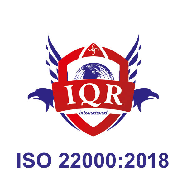 ISO 9001 | Brands of the World™ | Download vector logos and logotypes